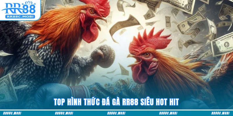 Top hình thức Đá gà RR88 siêu hot hit